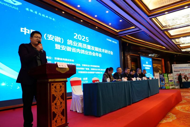 2025���ո�ҵʢ�ᾫ��˲��