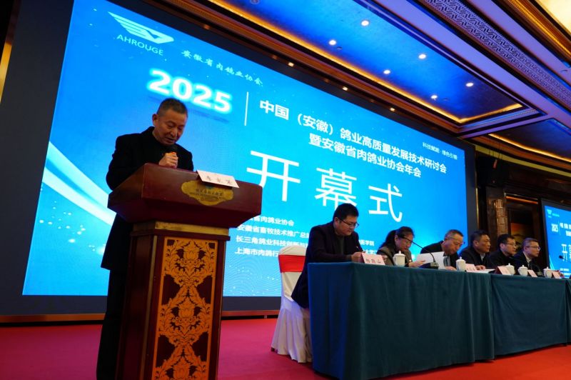 2025���ո�ҵʢ�ᾫ��˲��