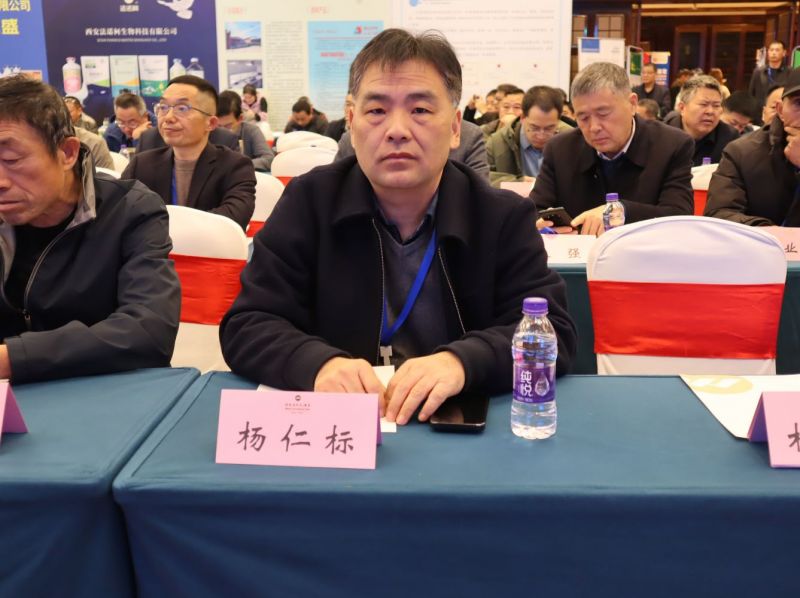 2025���ո�ҵʢ�ᾫ��˲��