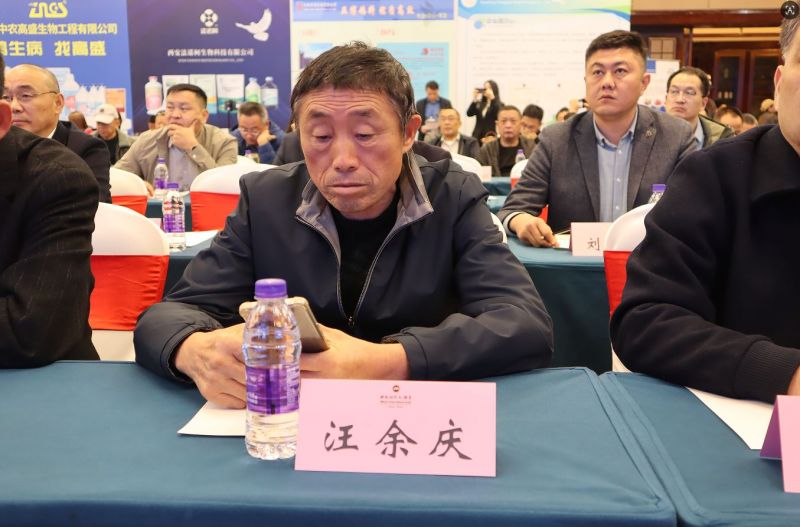 2025���ո�ҵʢ�ᾫ��˲��