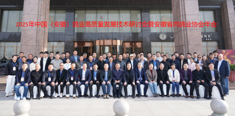 2025���ո�ҵʢ�ᾫ��˲��