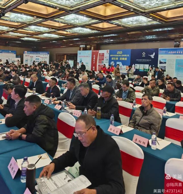 2025���ո�ҵʢ�ᾫ��˲��