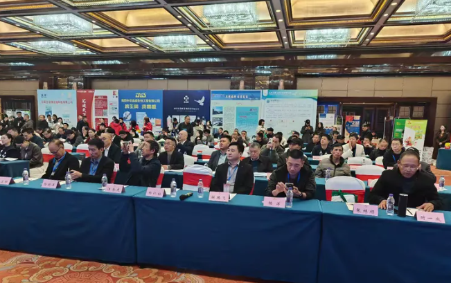 2025���ո�ҵʢ�ᾫ��˲��