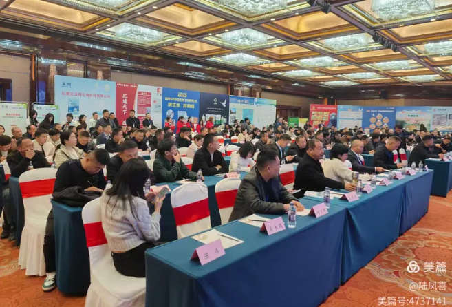 2025���ո�ҵʢ�ᾫ��˲��