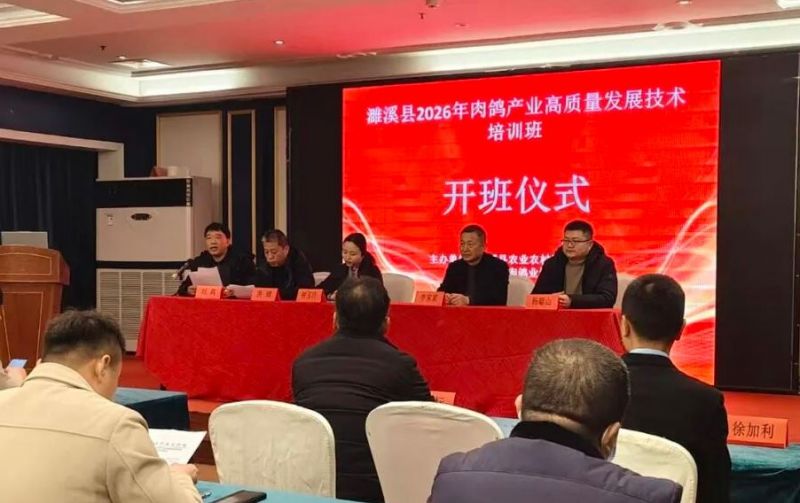 �Ϫ��2026������ҵ��������չ������ѵ��Բ���ٰ�