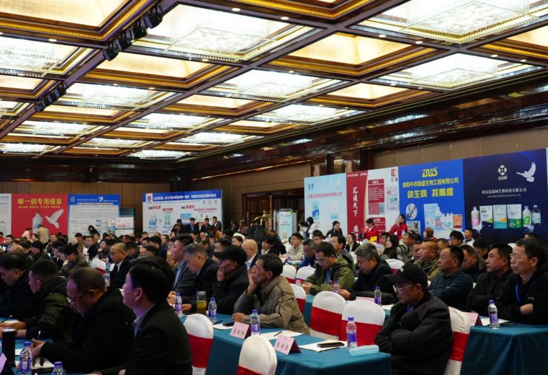 2025�갲�ո�ҵʢ��Բ����Ļ���Ƽ�������ɫ��ҵ��������������·�չ