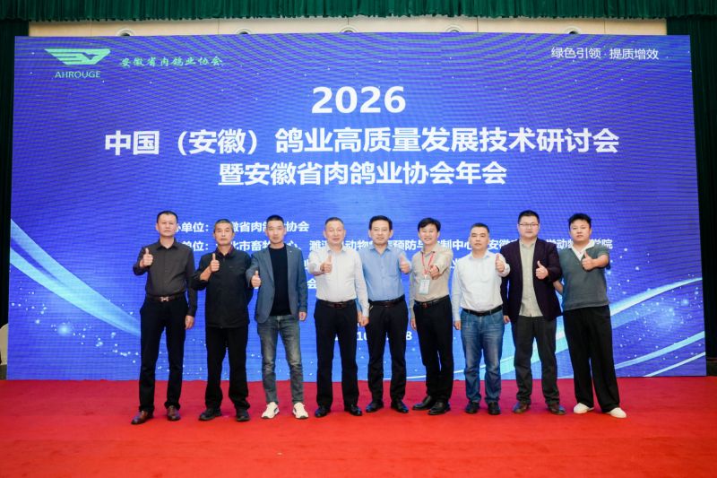 2026���ո�ҵʢ�ᾫ��˲��