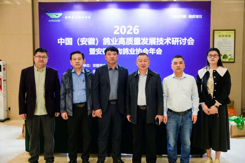 2026���ո�ҵʢ�ᾫ��˲��